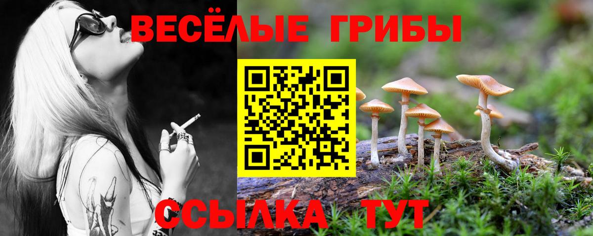 Псилоцибиновые грибы GOLDEN TEACHER  Вход с VPN  Новокубанск 
