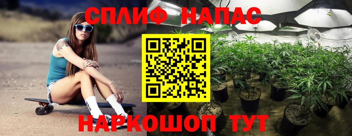 Бошки Шишки гибрид Новокубанск